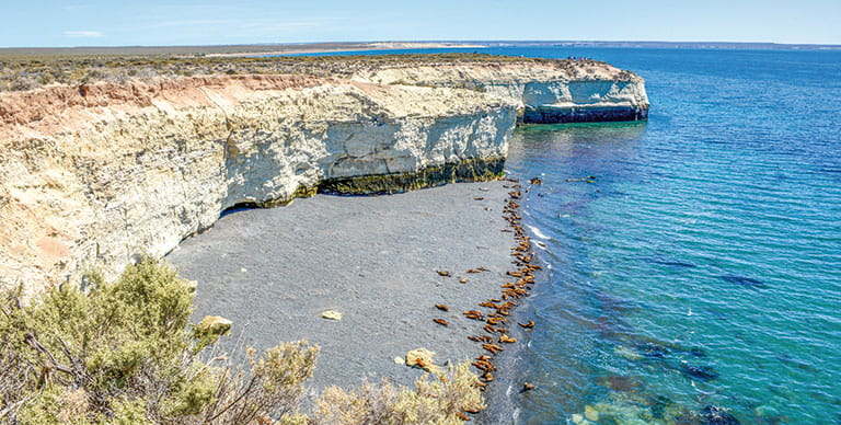 Colony of sea lions on a beach south of Puerto Madryn, Argentina